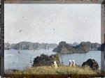 Bac Ky, Haiphong 1916 - Ha Long Bay viewed from Cat Ba Island. Photo by Léon Busy.jpg