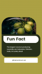 Green Simple Fun Fact Coconut Instagram Story.png