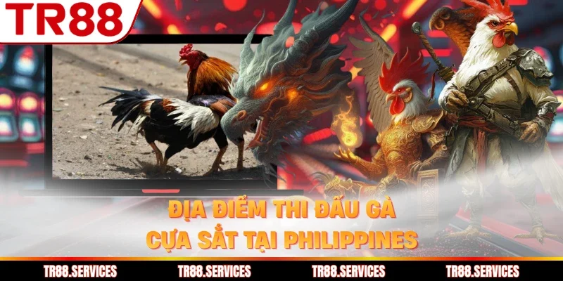 Địa điểm thi đấu gà cựa sắt tại Philippines